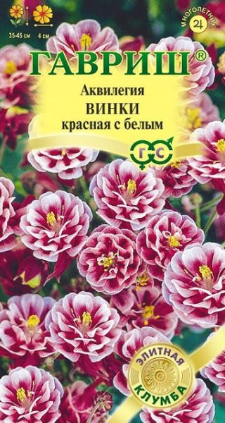 Многолетник Аквилегия Винки красная с белым Элитная клумба Гавриш