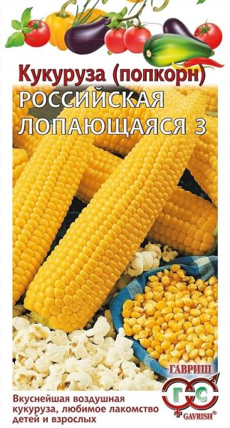 Кукуруза попкорн РОССИЙСКАЯ ЛОПАЮЩАЯСЯ 3 Гавриш