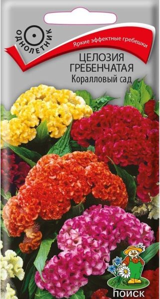 Однолетник Целозия гребенчатая Коралловый сад ЦВ Поиск