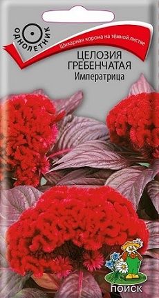 Однолетник Целозия гребенчатая Императрица ЦВ Поиск