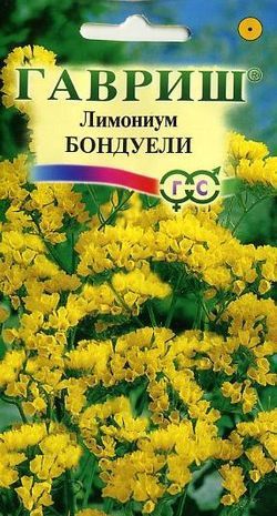 Однолетник Лимониум (Статица) Бондуели Гавриш