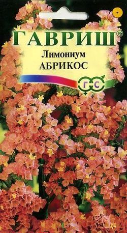 Однолетник Лимониум (Статица) Абрикос Гавриш