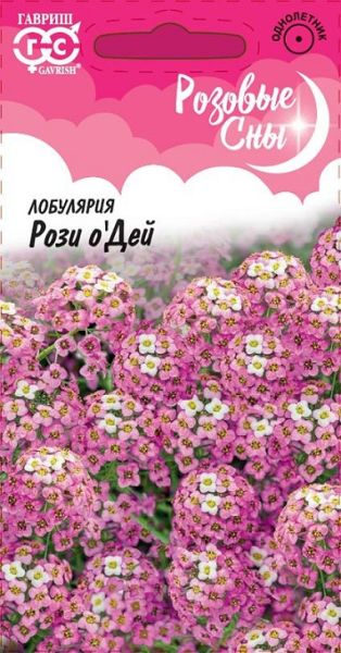 Однолетник Лобулярия Рози О Дей Розовые сны Гавриш