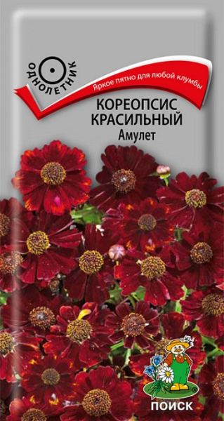 Многолетник Кореопсис красильный Амулет ЦВ Поиск