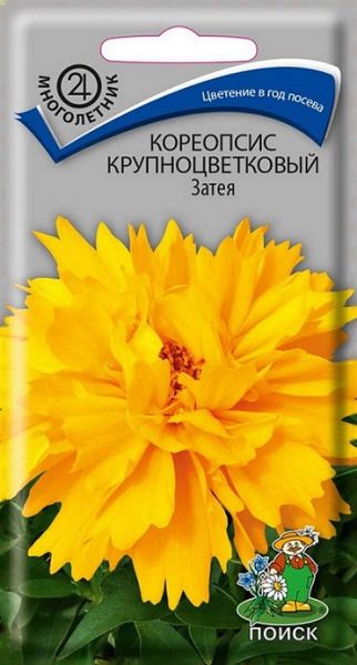 Многолетник Кореопсис крупноцветковый Затея ЦВ Поиск