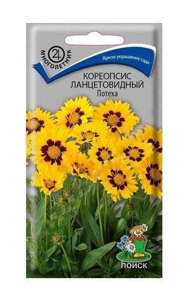 Многолетник Кореопсис ланцетовидный Потеха ЦВ Поиск