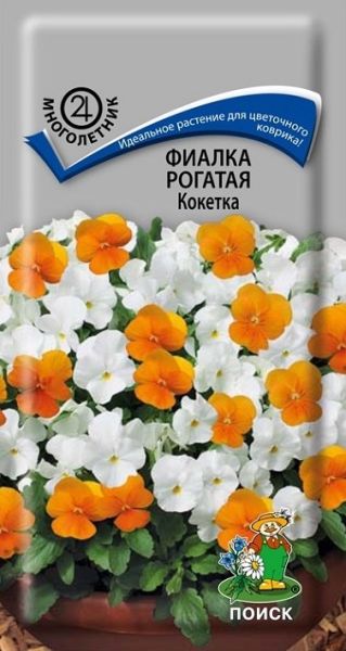 Многолетник Фиалка рогатая Кокетка ЦВ Поиск