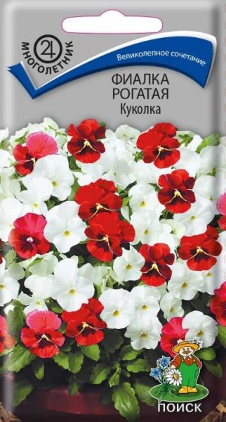 Многолетник Фиалка рогатая Куколка ЦВ Поиск