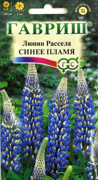 Многолетник Люпин Синее пламя Рассела  Гавриш