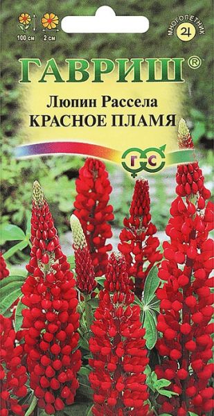 Многолетник Люпин Красное пламя Рассела  Гавриш