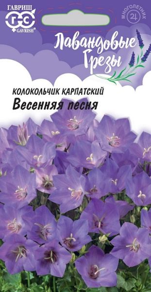 Многолетник Колокольчик Весенняя песня Лавандовые грезы Гавриш