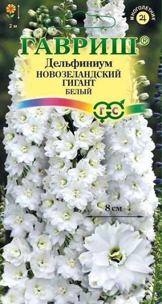 Многолетник Дельфиниум Новозеландский гигант белый супермахровый  Гавриш