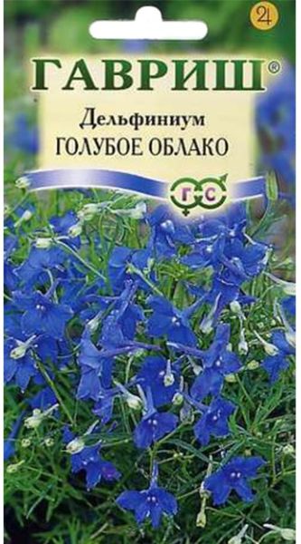 Многолетник Дельфиниум Голубое облако Гавриш