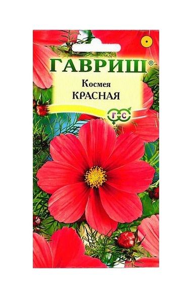 Однолетник Космея Красная  Гавриш