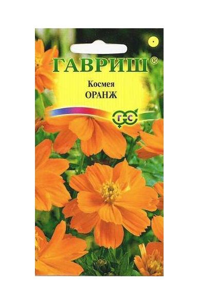 Однолетник Космея махровая Оранж Гавриш