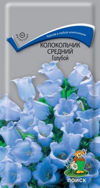 Двулетник Колокольчик средний Голубой ЦВ Поиск