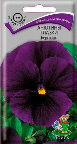 Двулетник Анютины глазки Бергвашт ЦВ Поиск