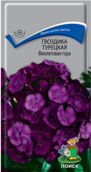 Двулетник Гвоздика (бородатая) Турецкая Фиолетовая гора  ЦВ Поиск