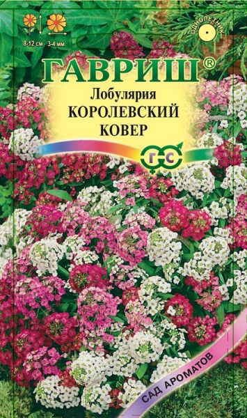 Однолетник Лобулярия Королевский ковер Сад ароматов Гавриш