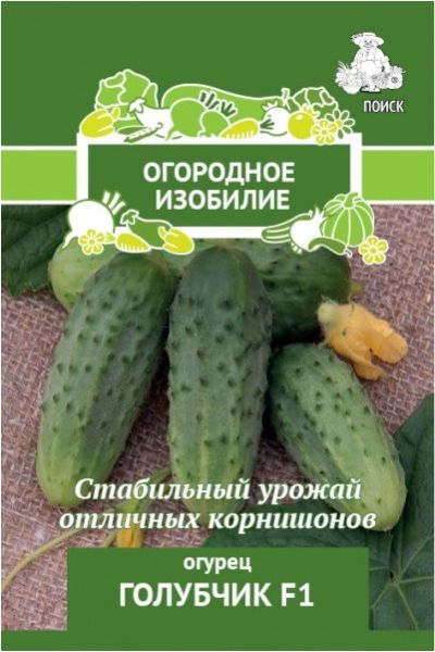 Огурец ГОЛУБЧИК F1  ЦВ Поиск