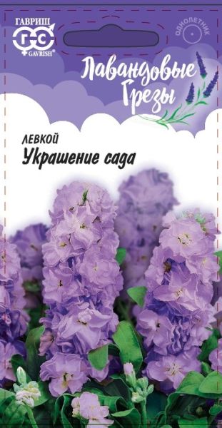Однолетник Левкой Украшение сада Лавандовые грезы Гавриш