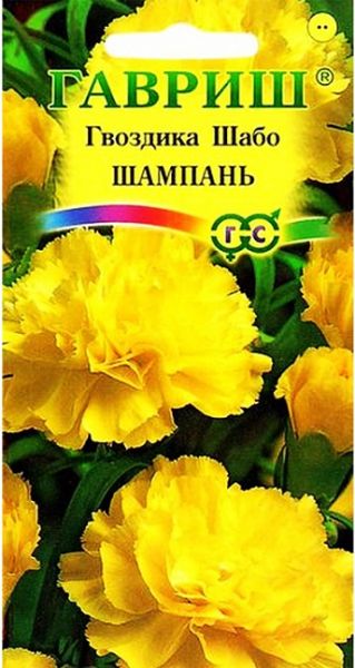 Двулетник Гвоздика Шабо Шампань  Гавриш