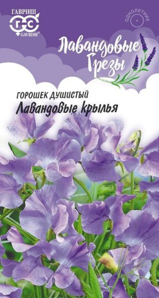 Однолетник Душистый горошек Лавандовые крылья  Лавандовые грёзы Гавриш