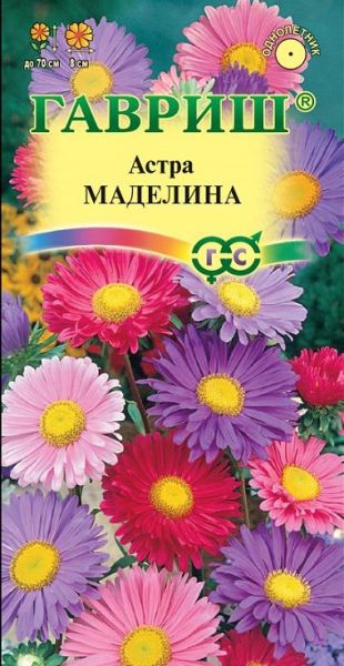 Однолетник Астра Маделина смесь Гавриш