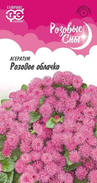 Однолетник Агератум Розовое облачко Розовые сны Гавриш