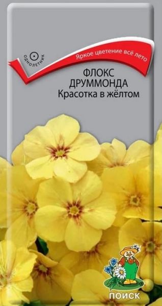 Однолетник Флокс друммонда Красотка в желтом  ЦВ Поиск