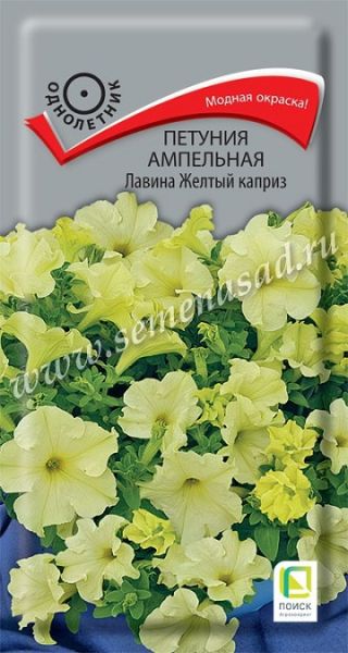 Однолетник Петуния ампельная Лавина Желтый каприз  ЦВ Поиск