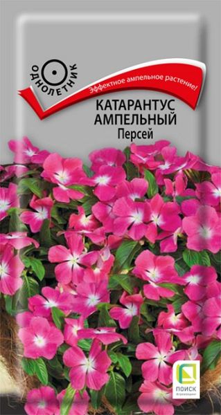 Однолетник Катарантус ампельный Персей ЦВ Поиск