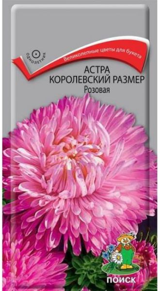 Однолетник Астра королевский размер Розовая  ЦВ Поиск
