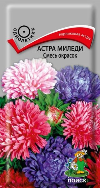 Однолетник Астра Миледи Смесь окрасок  ЦВ Поиск