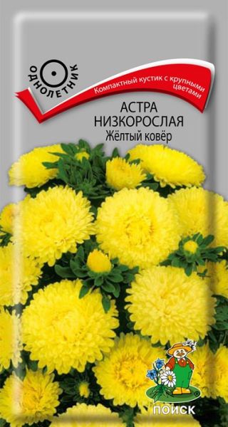 Однолетник Астра низкорослая Желтый ковер  ЦВ Поиск