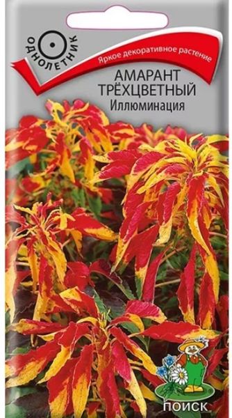 Однолетник Амарант трехцветный Иллюминация (0,1 грамма) ЦВ Поиск