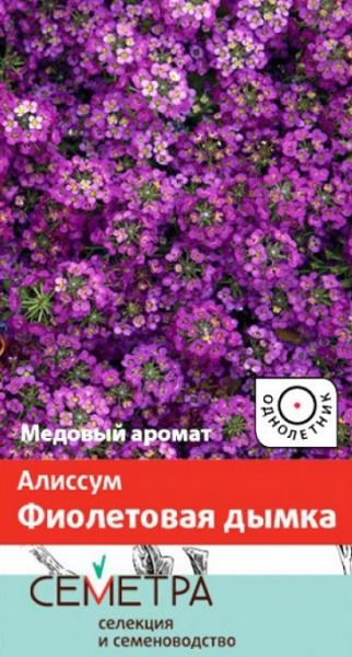 Однолетник Алиссум Фиолетовая дымка  Поиск