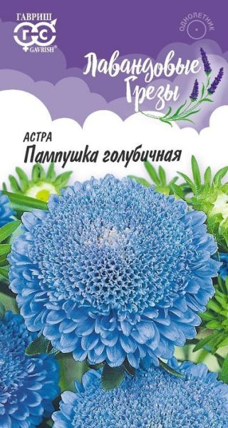 Однолетник Астра Пампушка голубичная  Лавандовые грёзы Гавриш