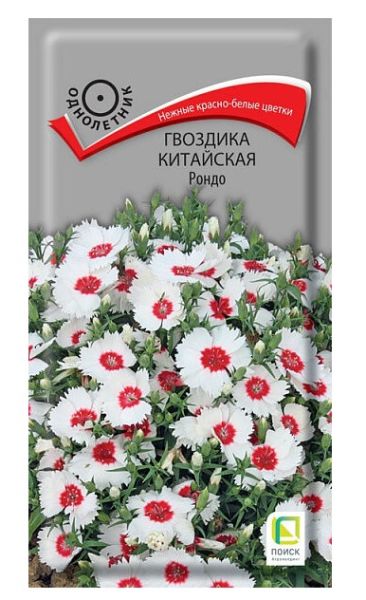 Однолетник Гвоздика Китайская Рондо  ЦВ Поиск