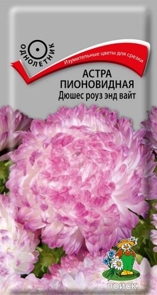 Однолетник Астра пионовидная Дюшес роуз энд вайт (0,3 грамма) ЦВ Поиск