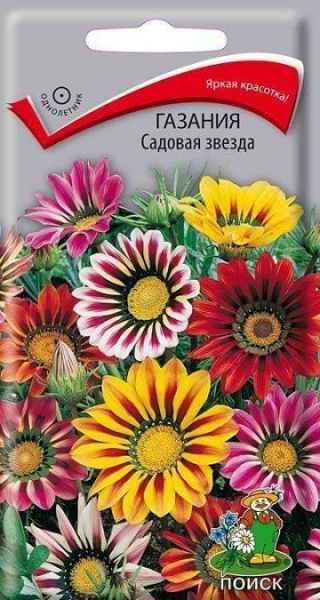 Однолетник Газания Садовая звезда  ЦВ Поиск