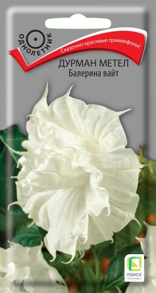 Однолетник Дурман метел Балерина вайт ЦВ Поиск
