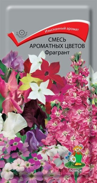 Однолетник Смесь ароматных цветов Фрагрант ЦВ Поиск