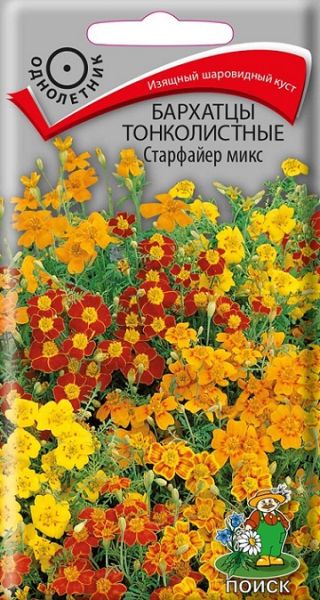 Однолетник Бархатцы тонколистные Старфайер микс  ЦВ Поиск