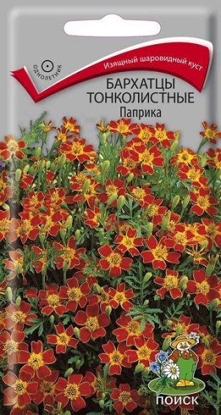 Однолетник Бархатцы тонколистные Паприка  ЦВ Поиск