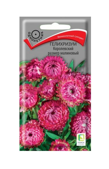 Однолетник Гелихризум Королевский размер малиновый  ЦВ Поиск