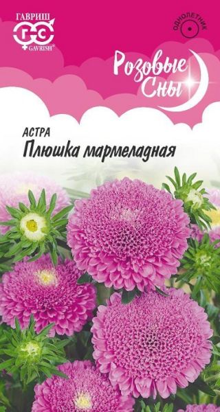 Однолетник Астра Плюшка мармеладная  Гавриш