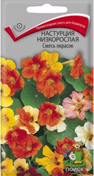 Однолетник Настурция низкорослая Смесь окрасок  ЦВ Поиск
