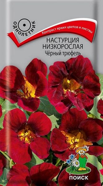 Однолетник Настурция низкорослая Черный Трюфель (1 грамм) ЦВ Поиск