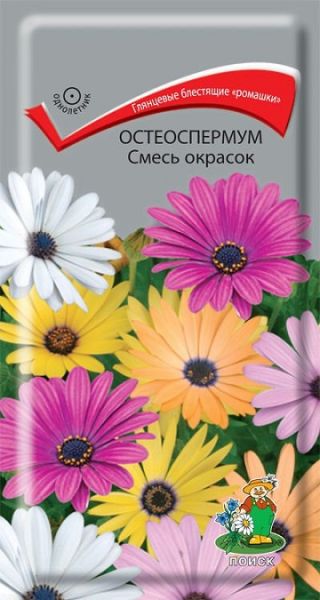 Однолетник Остеоспермум Смесь окрасок  ЦВ Поиск